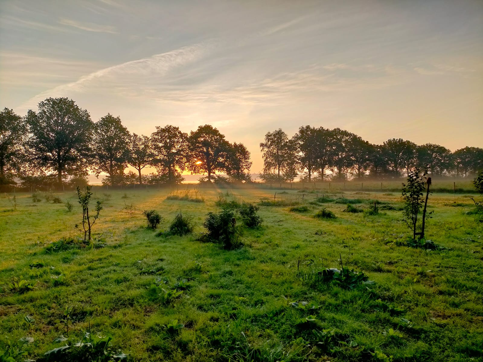 Deze afbeelding heeft een leeg alt-attribuut; de bestandsnaam is PHOTO-2025-02-17-13-20-51-2.jpg